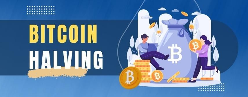What is Bitcoin Halving